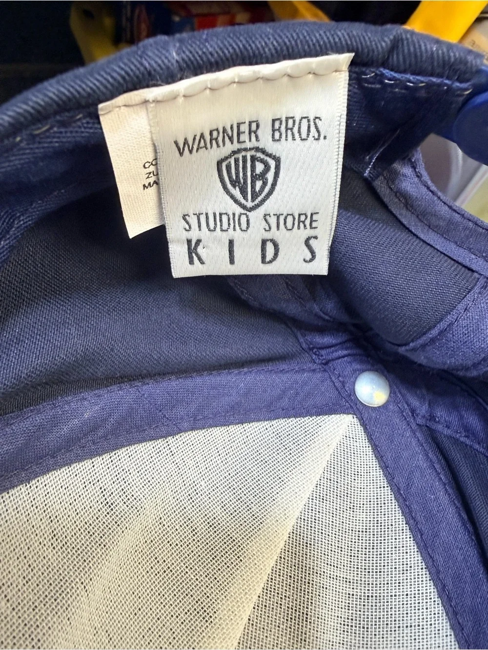Warner Bros.Wile E. Coyote& Roadrunner Hat